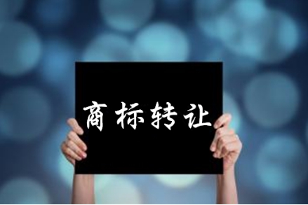 知識產(chǎn)權